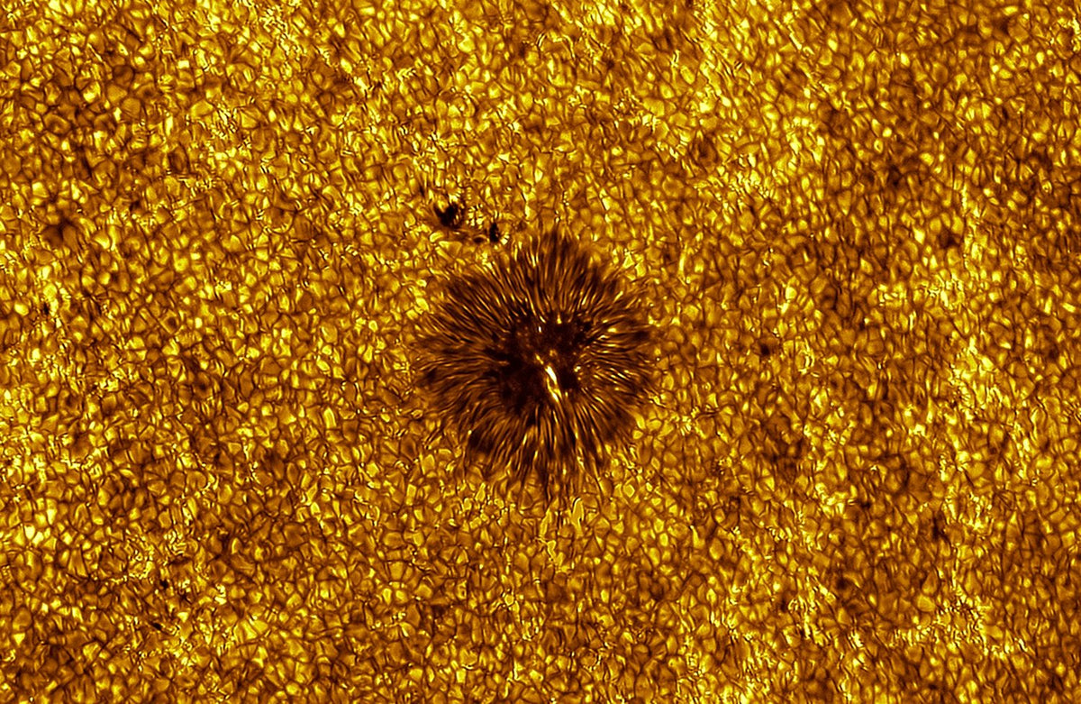 Convective Cells and Intergranular Filigree